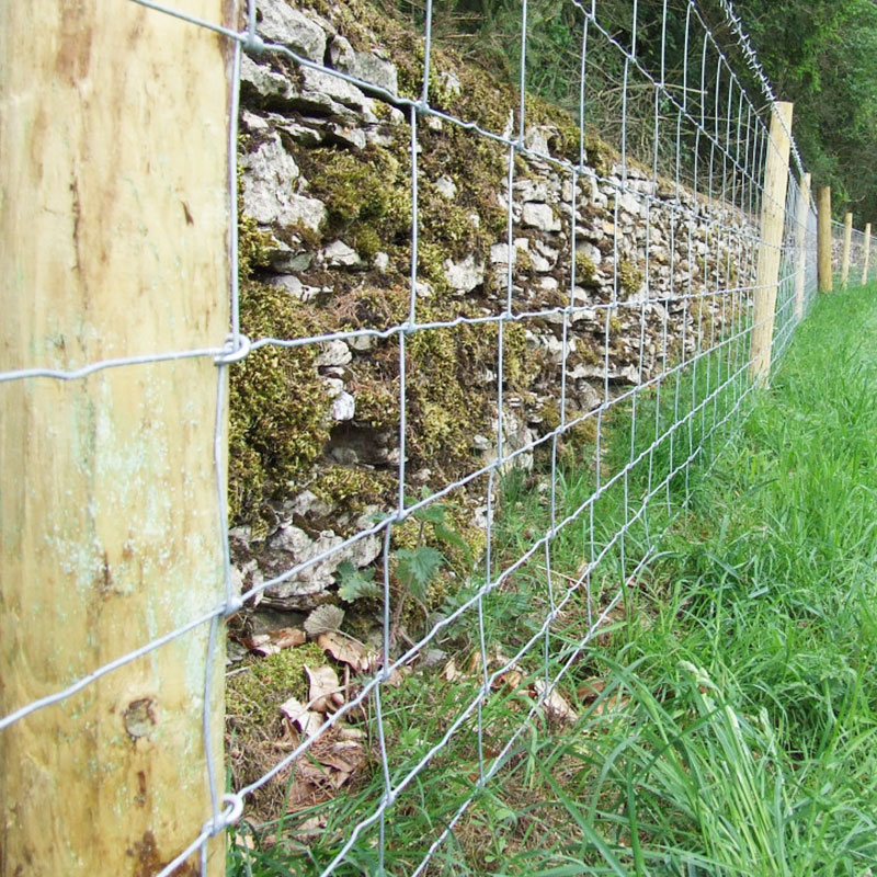 China factory supply hot-dipped cattle high tensile fence