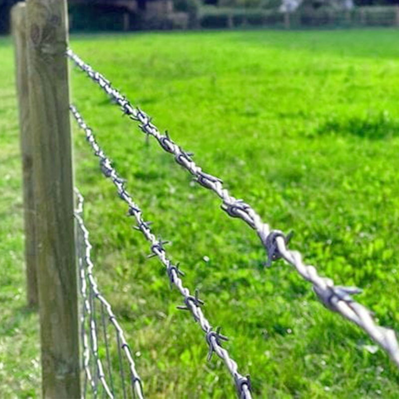 Factory supply high security 7 strand 8 strand barbed wire fence