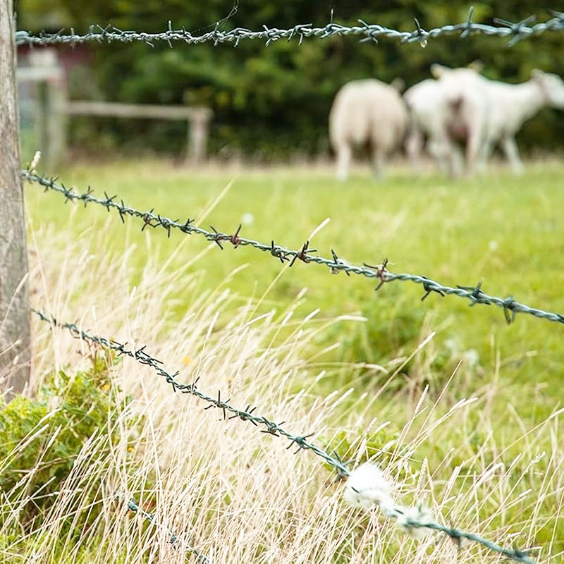 Factory supply high security 7 strand 8 strand barbed wire fence