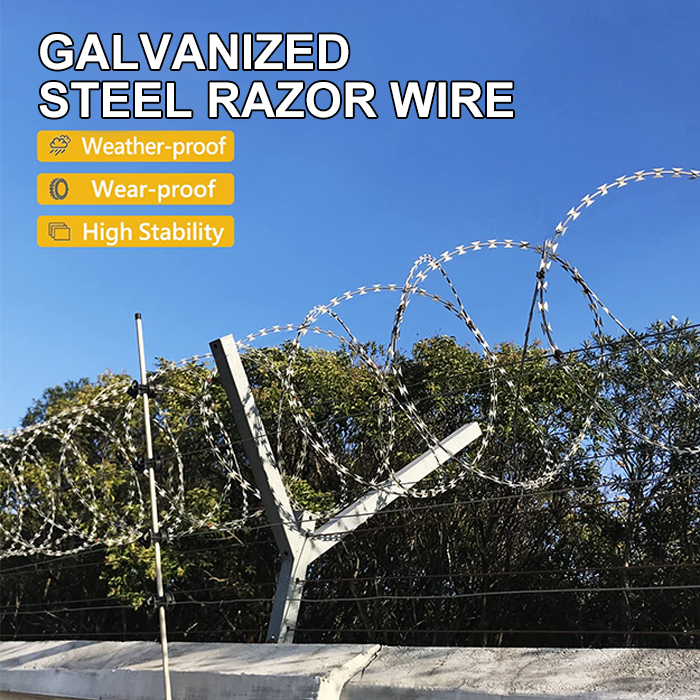China factory supply flat razor blade wire mesh fencing