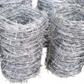 Electric and Hot-Dipped Galvanized Barbed Wire Fence