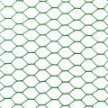 China direct supply green plastic coated iron hexagonal wire mesh
