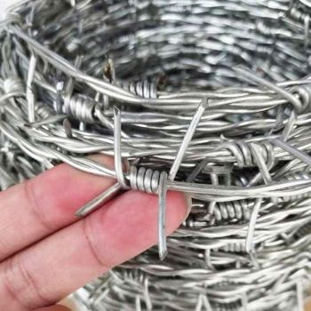 BWG 14 gauge GI barbed wire on fence used for security