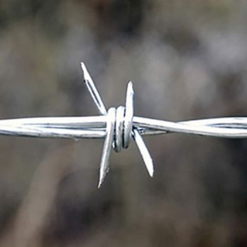 China direct supply double strands woven thick barbed wire