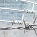 China direct supply double strands woven thick barbed wire