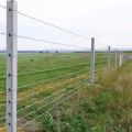 Factory supply high security 7 strand 8 strand barbed wire fence