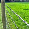 Factory supply high security 7 strand 8 strand barbed wire fence
