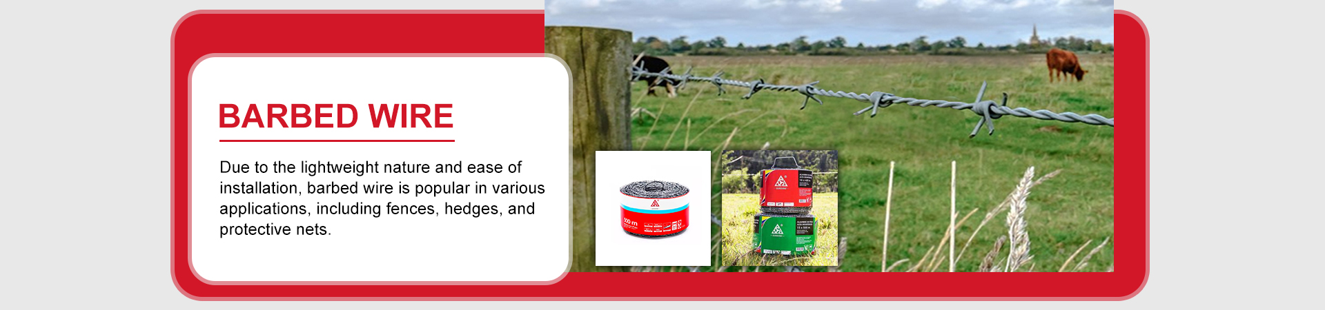 Barbed Wire